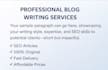write SEO blog posts and articles fast