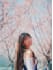 sakura photo shooting in hk