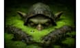 create cinematic dark fantasy ai character art