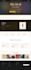 develop custom software solutions , websites