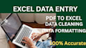 do exact excel data entry, formatting and data cleaning