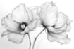 create plant, flowers line art vector