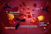 create scientific medical animations for research journals and biotech