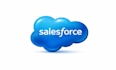 provide salesforce development and admin services