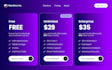 web design and graphic design