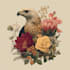 draw animal and botanical illustrations