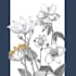 draw botanical illustration flower, plant