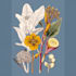 illustrate best botanical illustration
