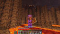 play minecraft with you in both java or bedrock edition