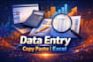 excel data entry, copy paste and website data entry tasks