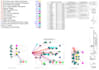 accurate material takeoffs and construction cost estimation