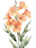 draw botanical illustration flower, plant