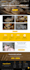 create a responsive wordpress business website that converts visitors into leads