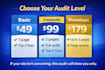 provide a conversion focused website audit