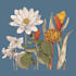 draw fineline botanical delicate flowers