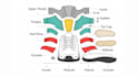 create professional shoe tech tech pack, footwear cad and technical drawing