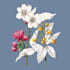 draw floral illustrations flower