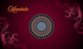 illustrate detailed vector line and mandala art