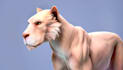 create realistic 3d animal models in blender for animation