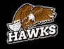 do eagle phoenix hawk fire burning flame mascot logo design