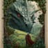 draw fantasy book cover, illustration
