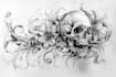 design professional creative tattoo design