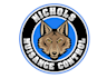 design luxury fox head logo