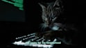 create a cinematic ai music video with consistent characters