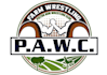 design a professional wrestling logo