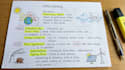 create hand drawn infographics and study notes