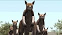 create 3d character design, 3d animal animation, fur simulation and rigged