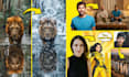 do professional ai photo editing and ai image creation
