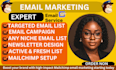 create conversion focused email marketing campaigns for cold email outreach sale