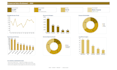 clean, analyze and visualize your data for business insights