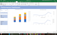 create a professional excel dashboard with charts and summar