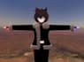 edit and upload your avatar to vrchat