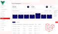 build saas mvps and dashboards using laravel and vuejs