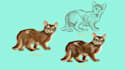 paint a realistic digital pet portrait or full body animal