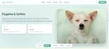 build websites, full stack, user interactive, engaging web dev
