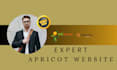 build and develop professional  wild apricot website