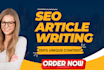 write SEO blog posts and tutor online