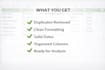 clean, format and organize your excel or CSV data