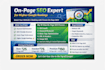 on page SEO expert higher google rankings