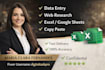 do accurate data entry, web research and exel data typing