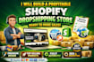 design a premium shopify dropshipping store with branding and conversion setup