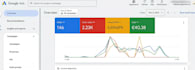 audit and optimize google ads PPC and pmax campaings that print results