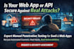 perform a professional owasp security audit for your saas or web app