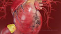 create 3d medical animation