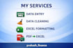provide reliable data entry and excel formatting