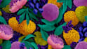 design seamless pattern design vector repeat fabric textile